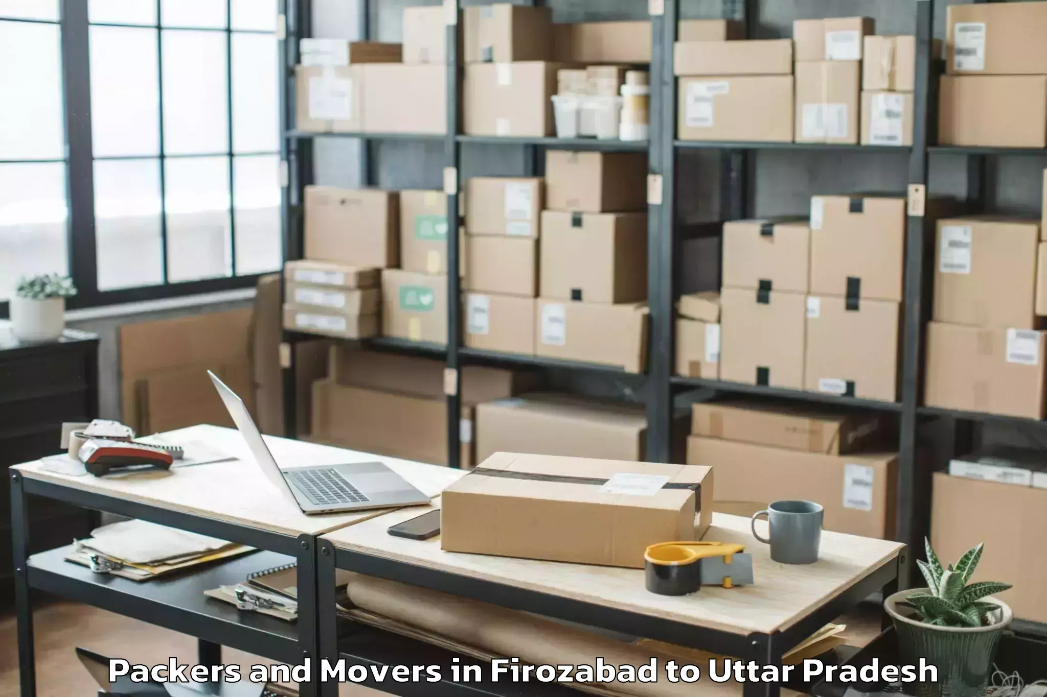 Professional Firozabad to Bisenda Buzurg Packers And Movers